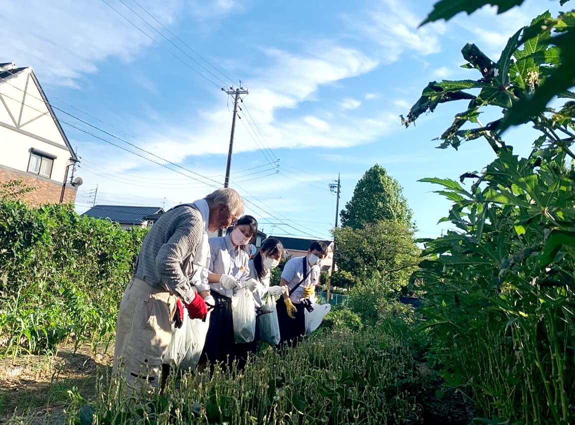 夏野菜を収穫する高校生